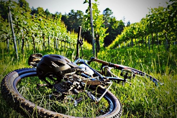 Pause in den Weinbergen mit dem Mountainbike.