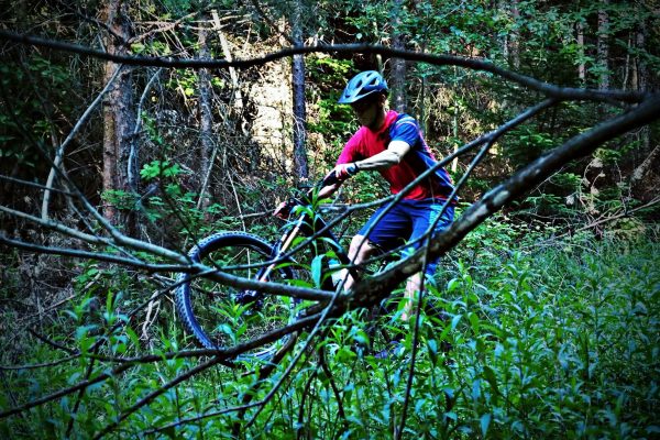 Fahren am Hinterrad im kühlen Wald.